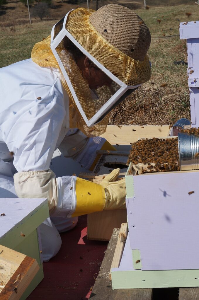 farming, beekeeping, bees-1537122.jpg